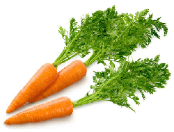 Carrots