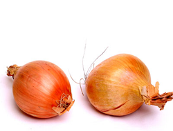 Onion