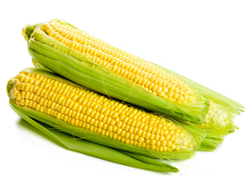 Sweetcorn